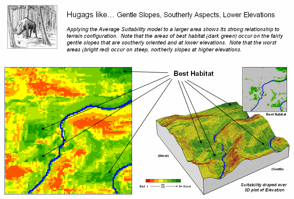 Effect of slope aspect on steep slope and gentle slope