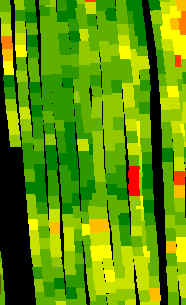 offset1a.bmp (170854 bytes)