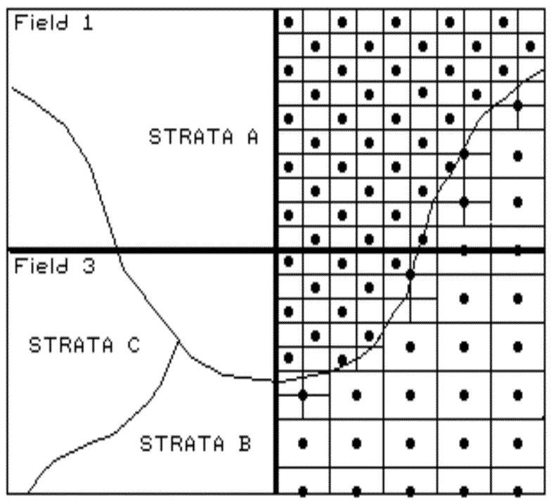 Topic2 Point Sampling