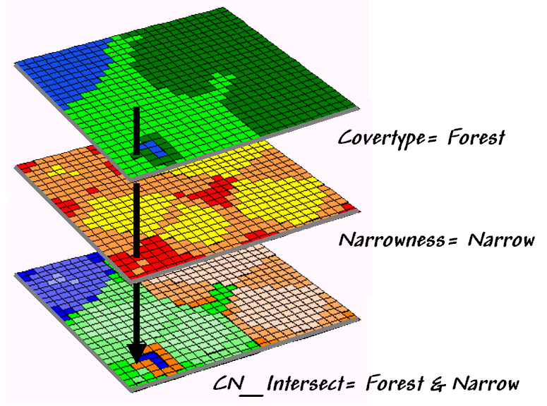 Characterizing narrowness